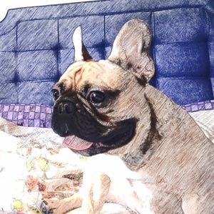 Meet your Posher, Swanny